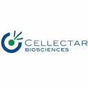 Profile picture for Cellectar Biosciences Inc