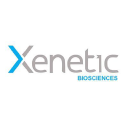 Profile picture for Xenetic Biosciences Inc