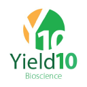 Profile picture for Yield10 Bioscience Inc